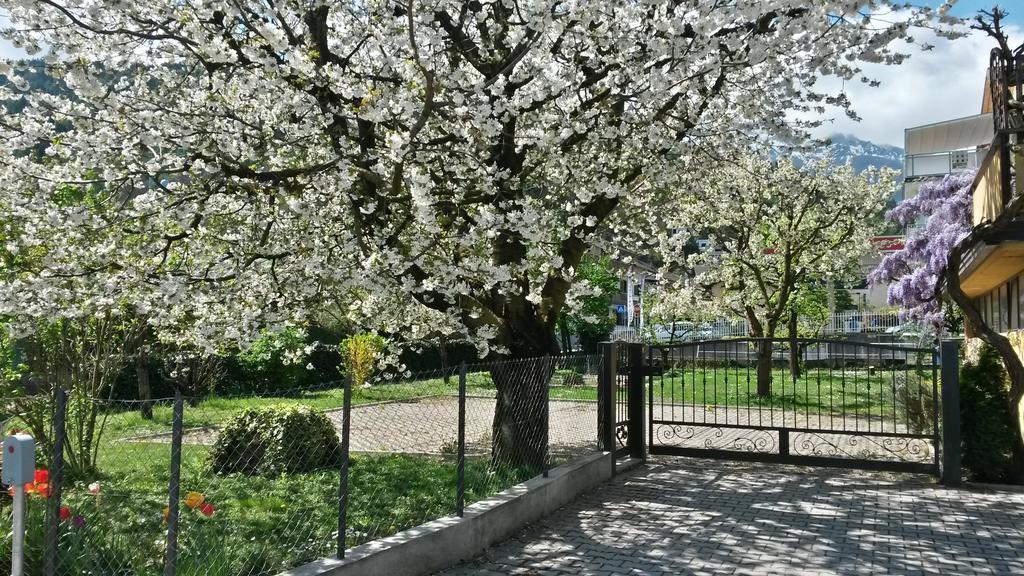 Casa Ferrari Monica Daire Calceranica al Lago Dış mekan fotoğraf