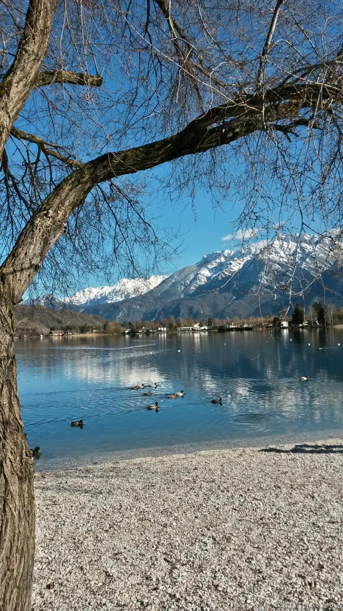 Casa Ferrari Monica Daire Calceranica al Lago Dış mekan fotoğraf